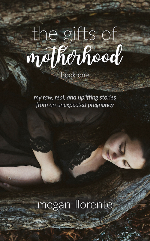 The Gifts of Motherhood: Book One