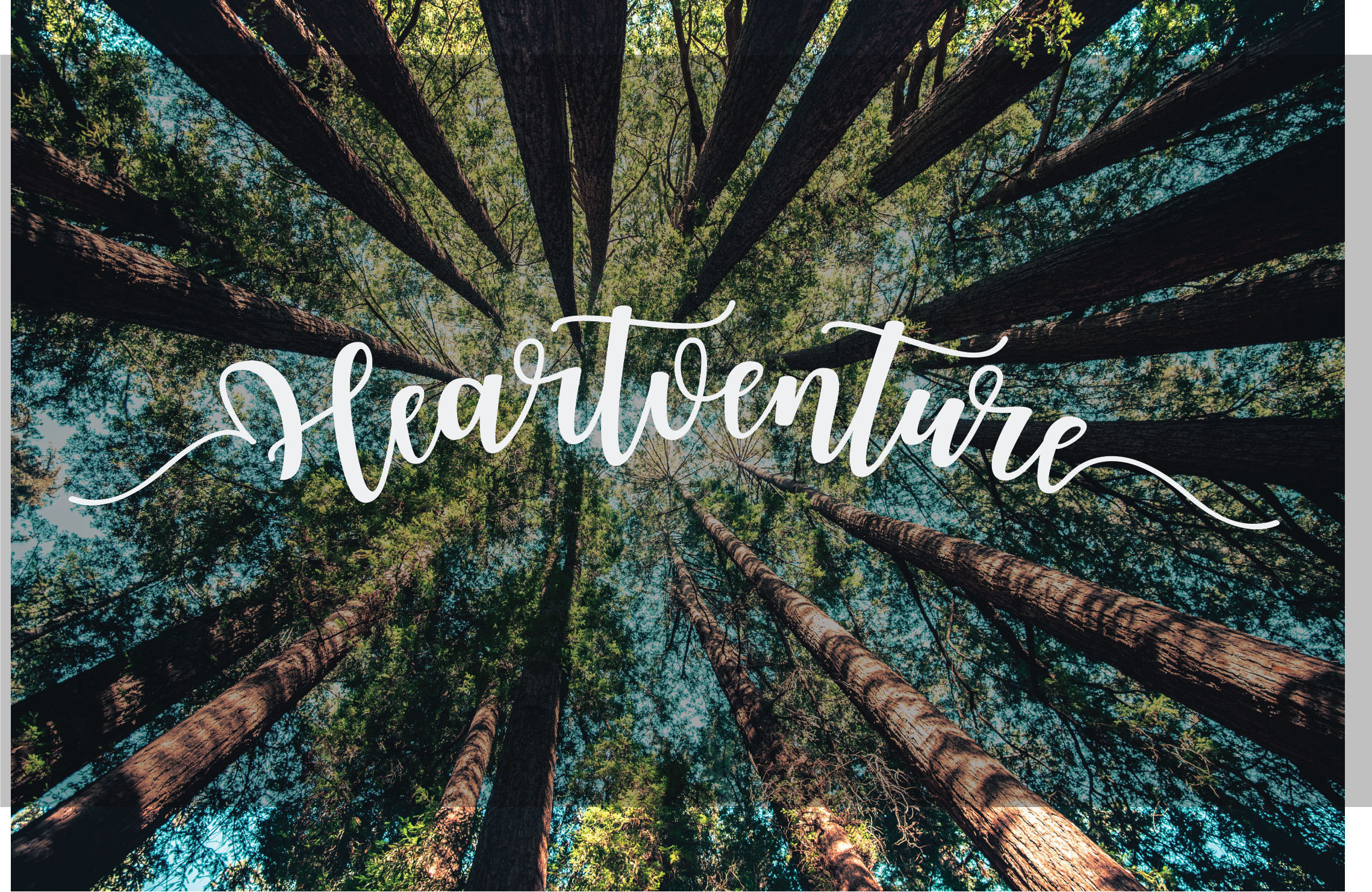 Heartventure Trees.png