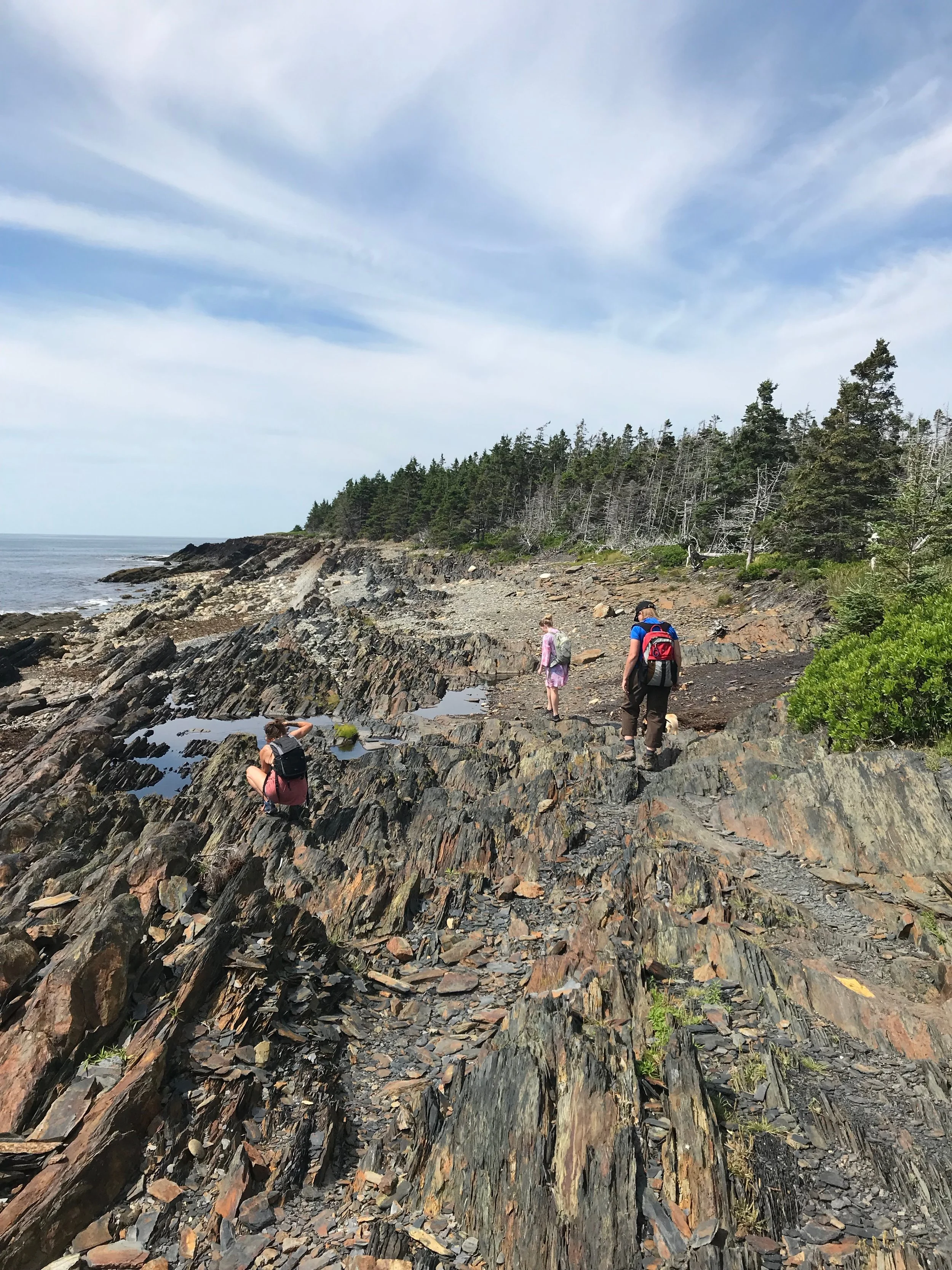 Gaff Point, NS