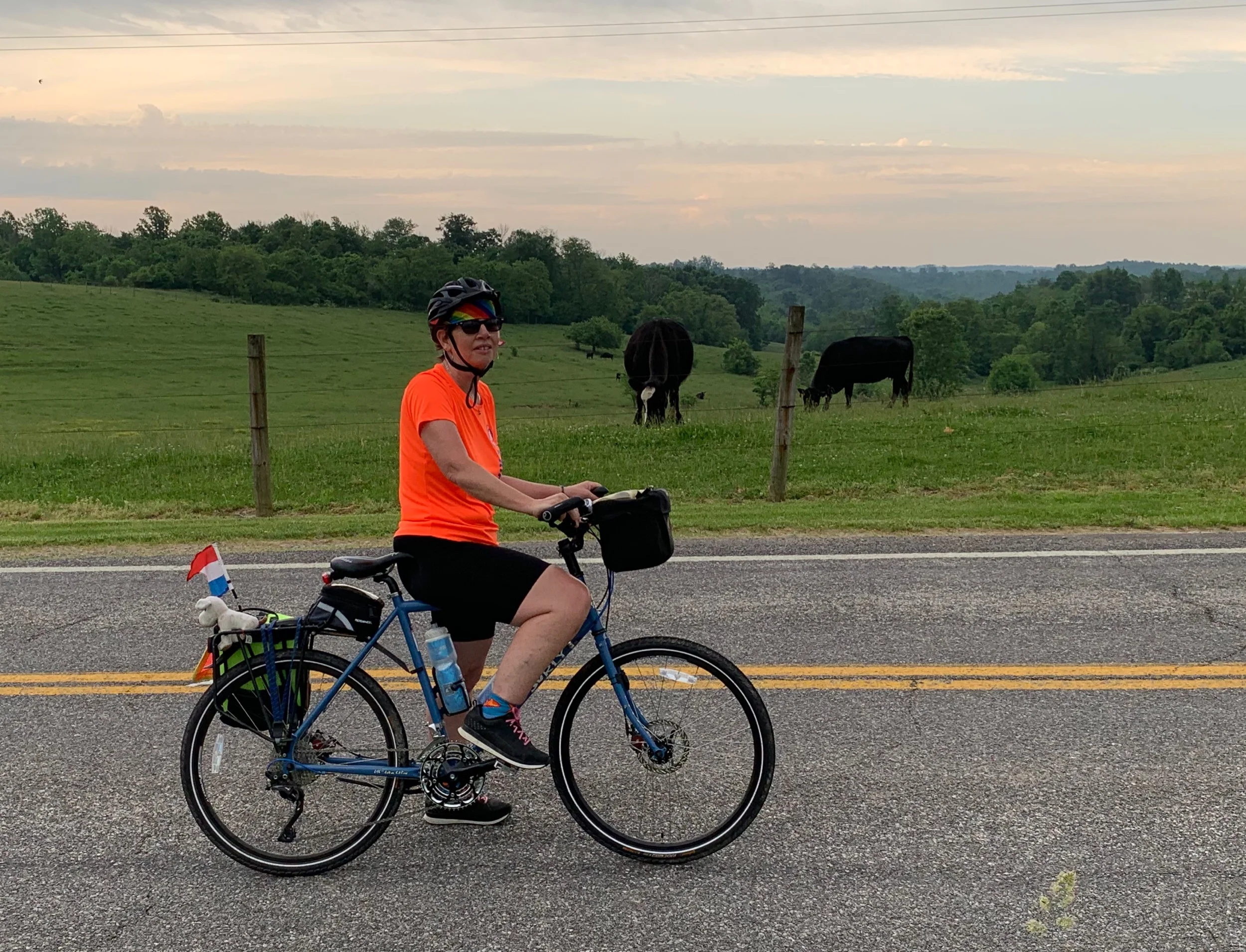 Bernadette and the cows.