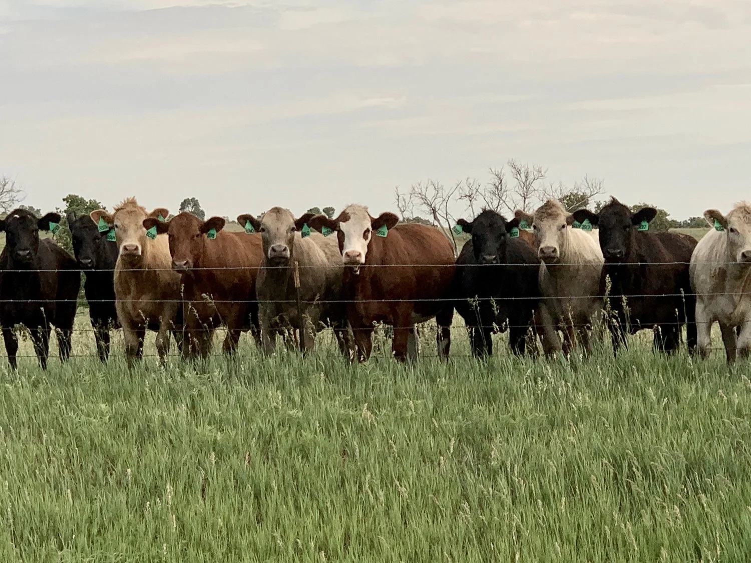 Day 34: Washington, KS to Mankato, KS (64.4 miles)