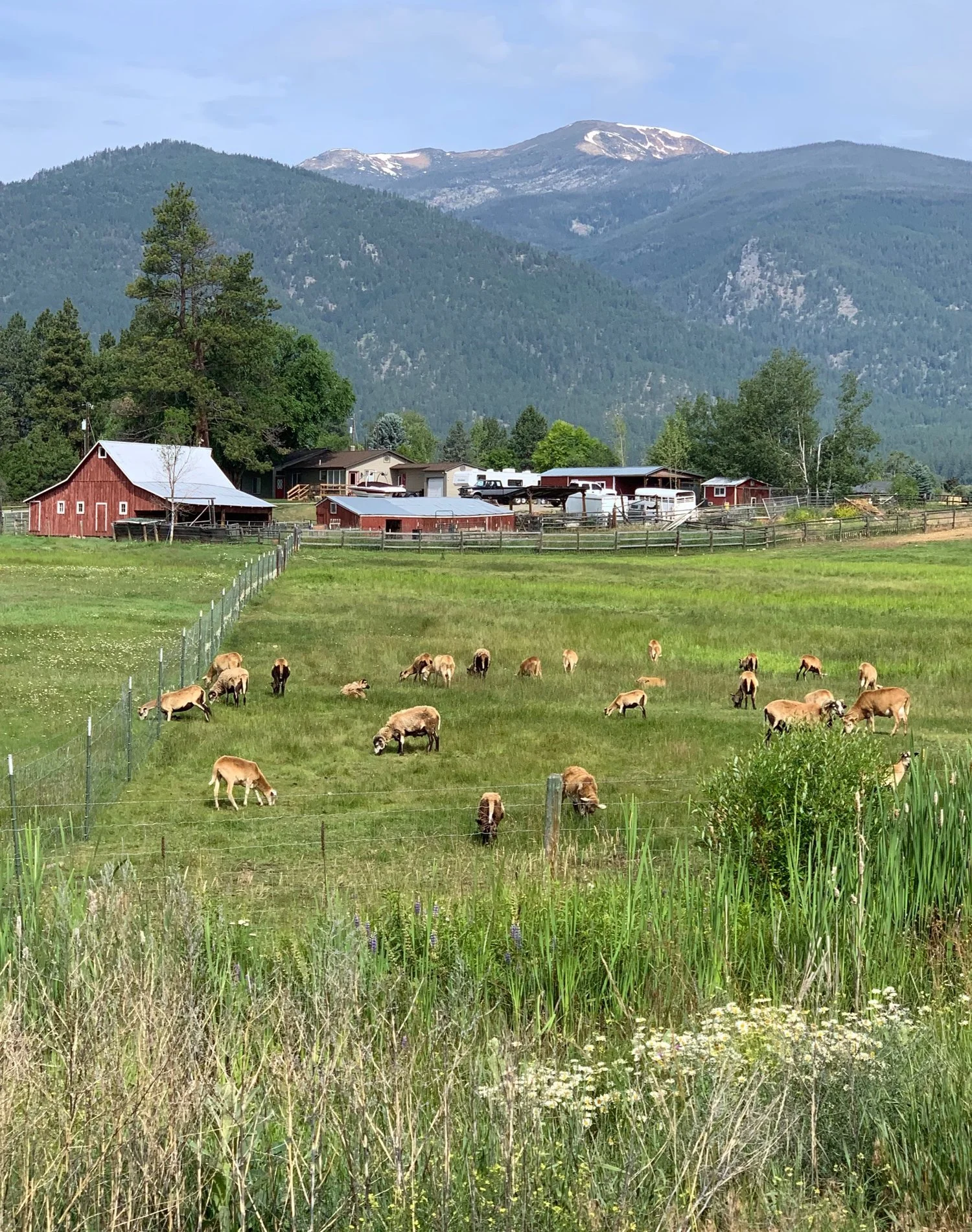 Day 60: Darby, MT to Missoula, MT         (66.7 miles)
