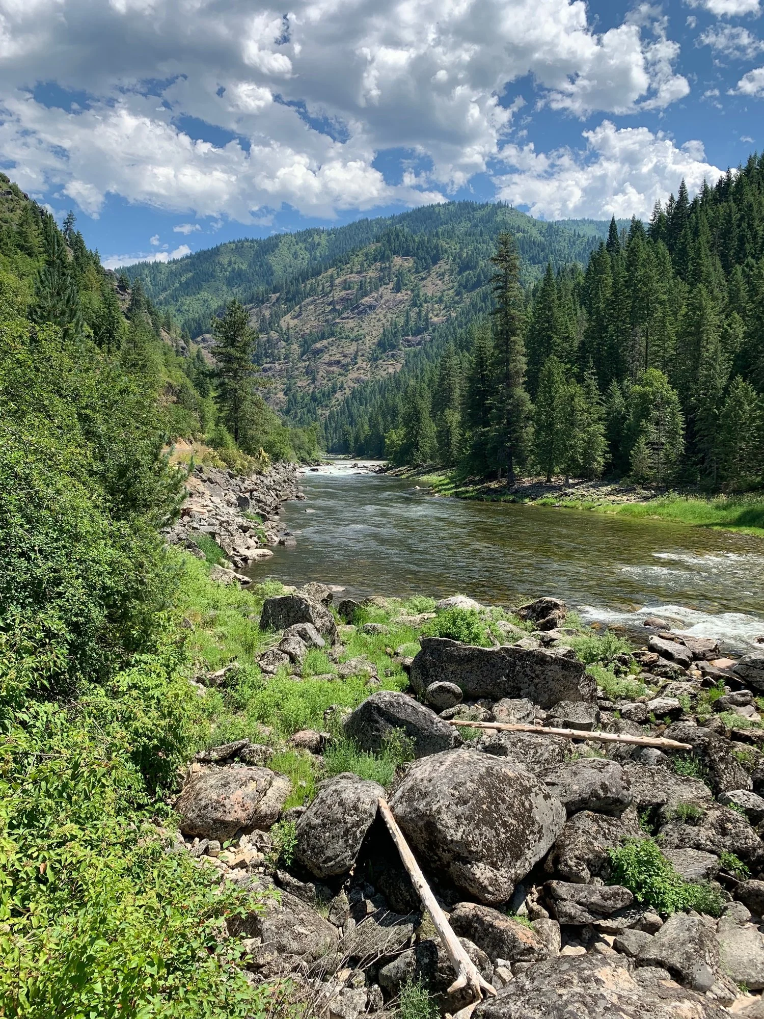 Day 63: Powell Junction, ID to Syringa, ID            (72.8 miles)