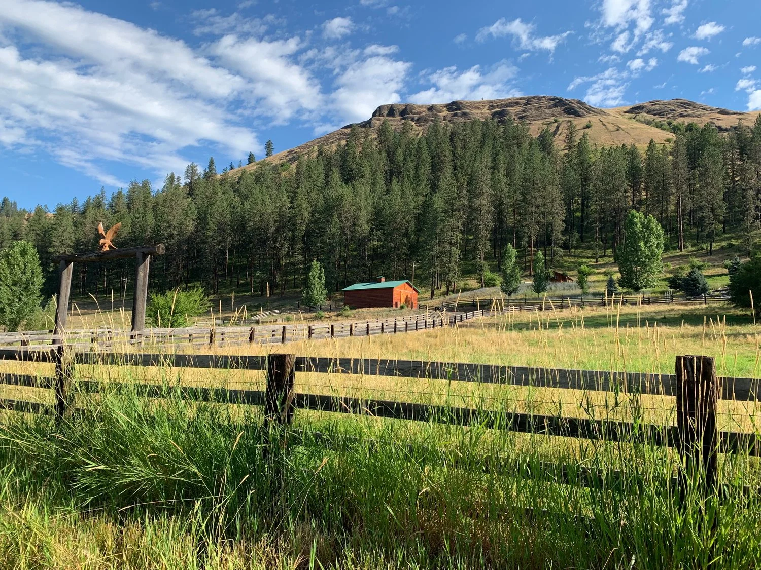 Day 64: Syringa, ID to Grangeville, ID     (43.0 miles)