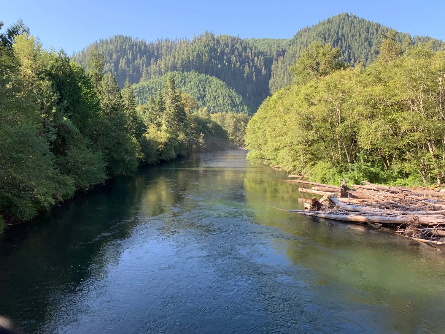 Day 75: McKenzie Bridge, OR to Coburg, OR (55.3 miles)