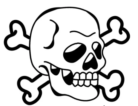 skull_bones.JPEG