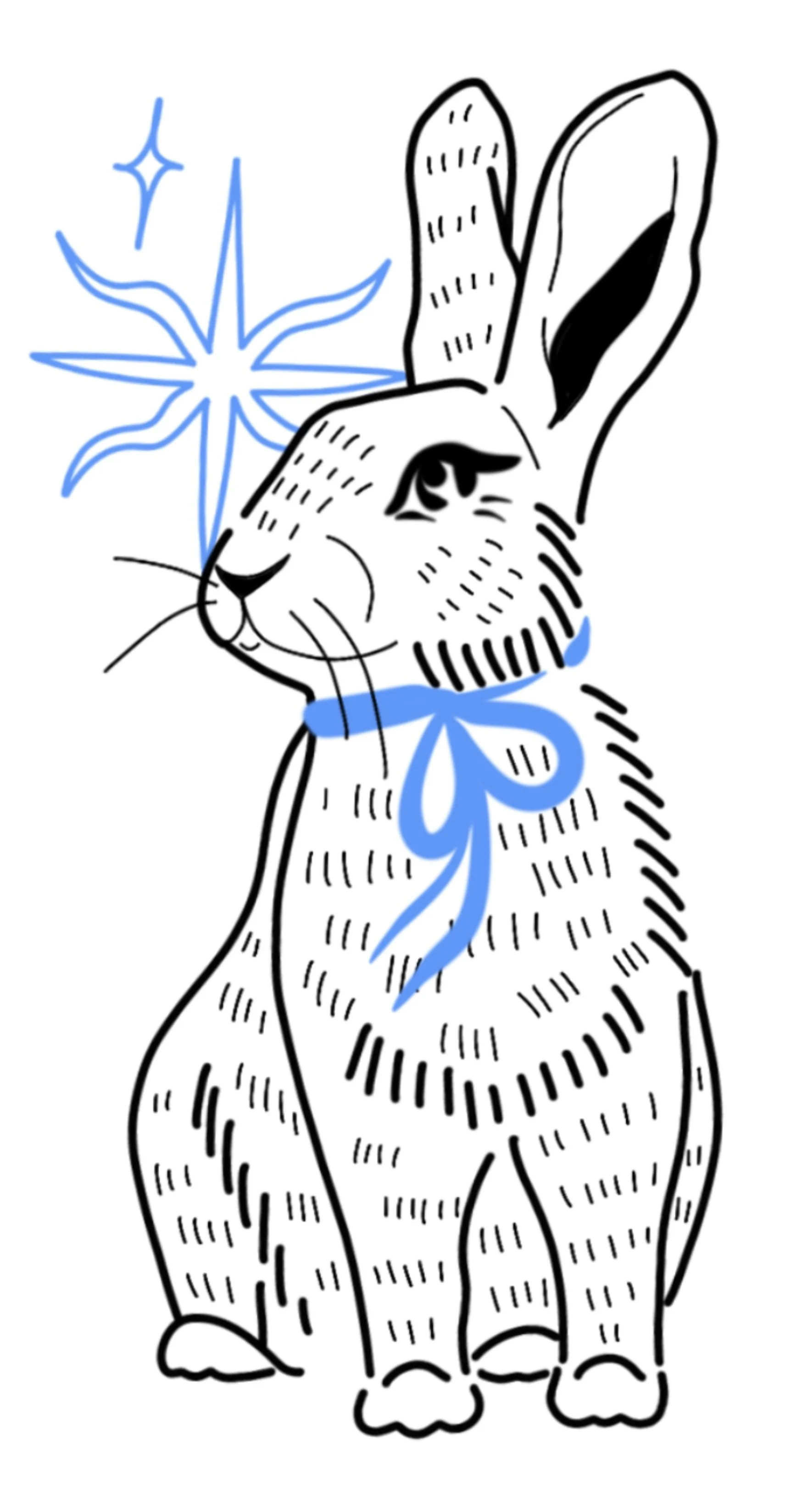 animal_lapin_sparkle.JPEG