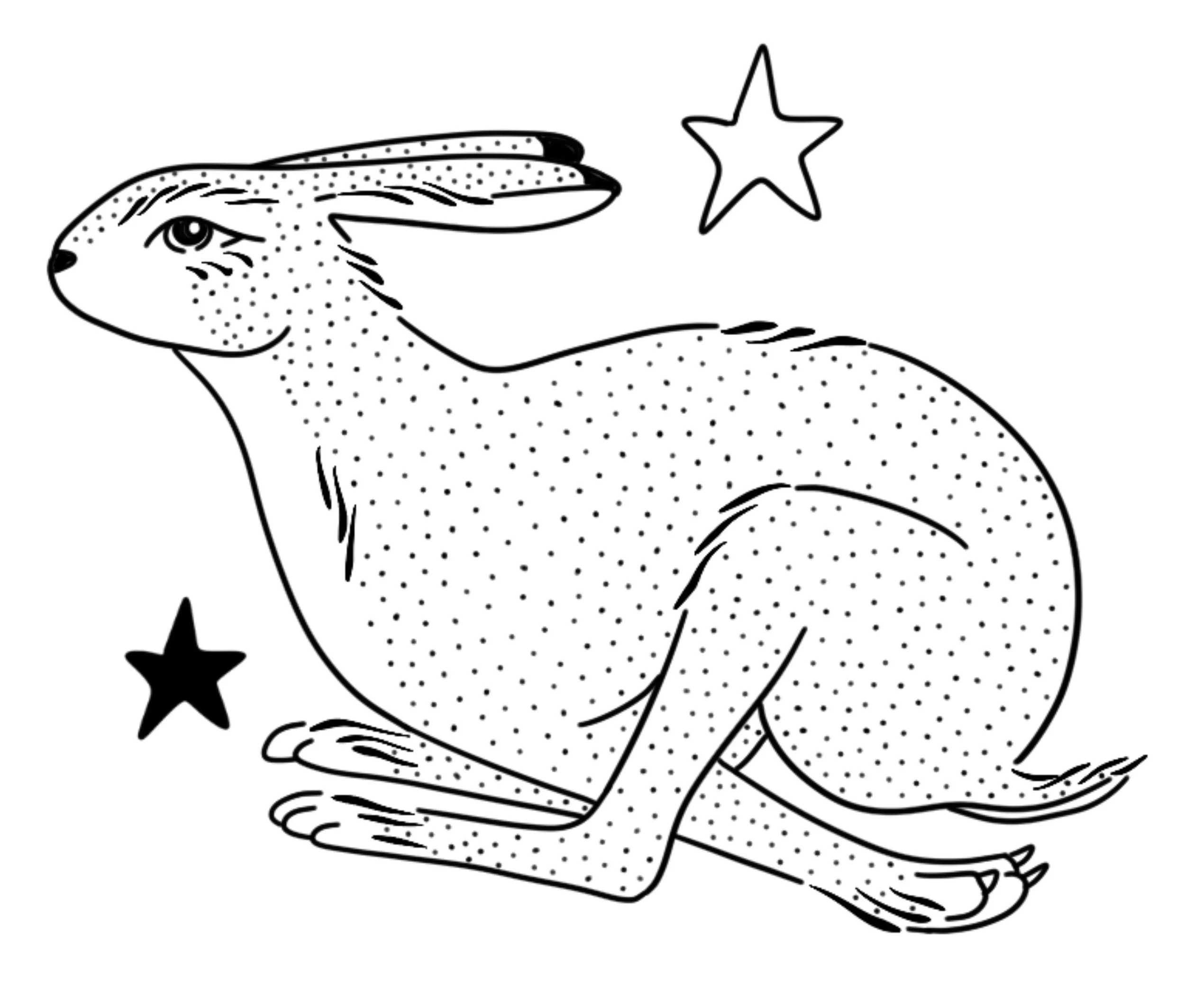animal_lapin_easter.JPEG
