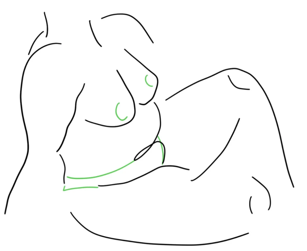 mini_body_curves_assis_vert.jpg