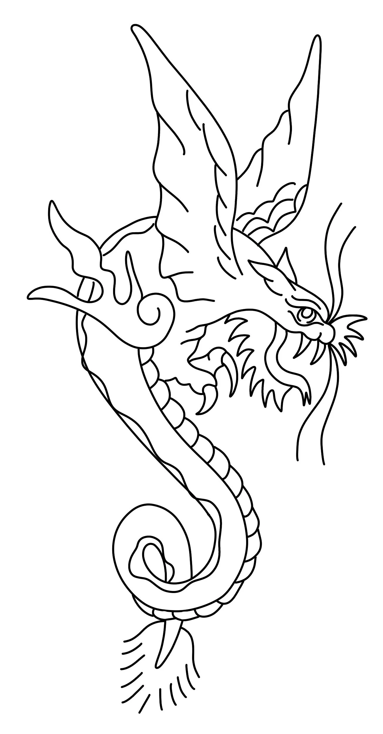 Dragon_Thin_ 2.jpg