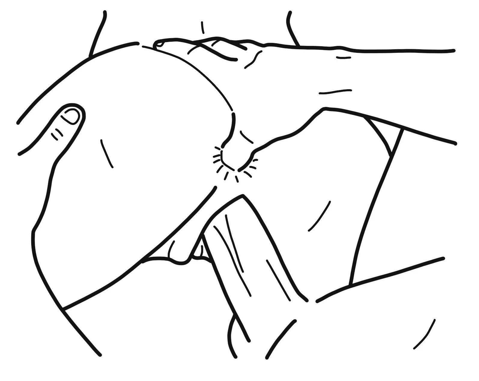sexu_doigt_nus.jpg