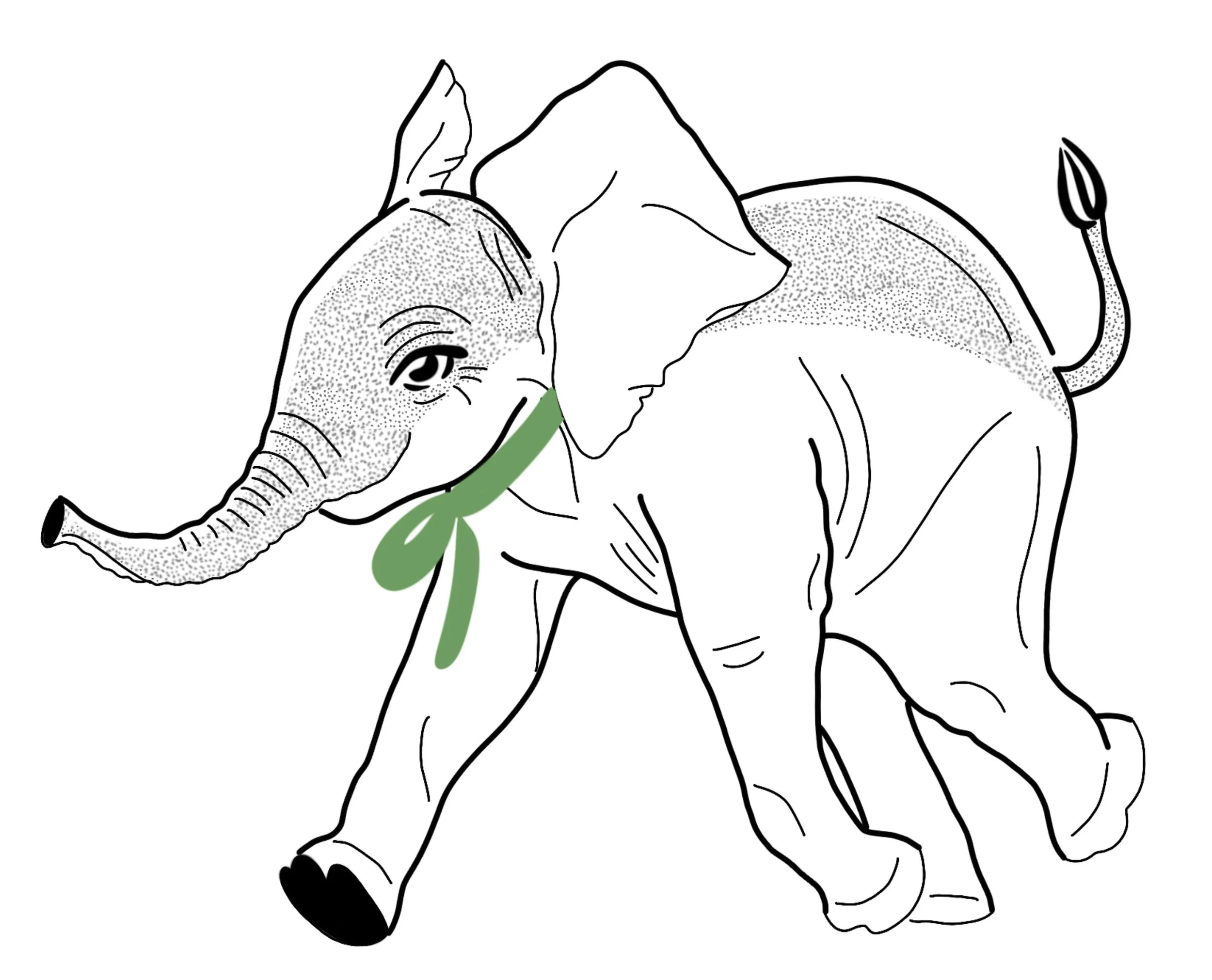 animal_elephant.JPEG