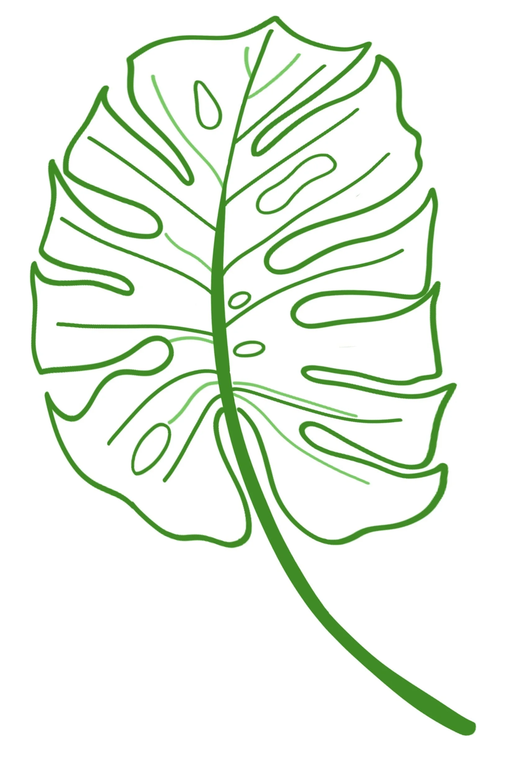 fleurs_monstera.JPEG
