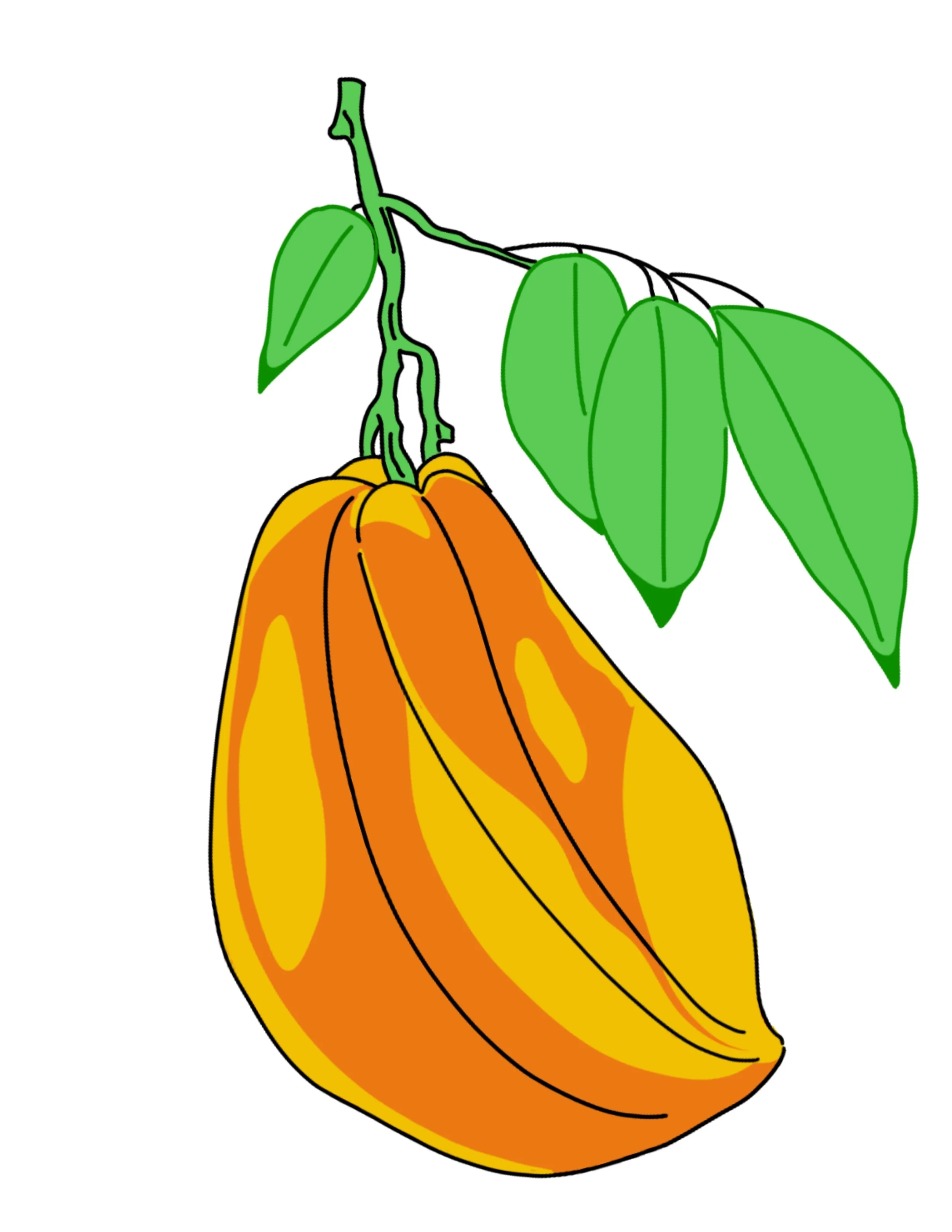 fruit_mangue.jpg