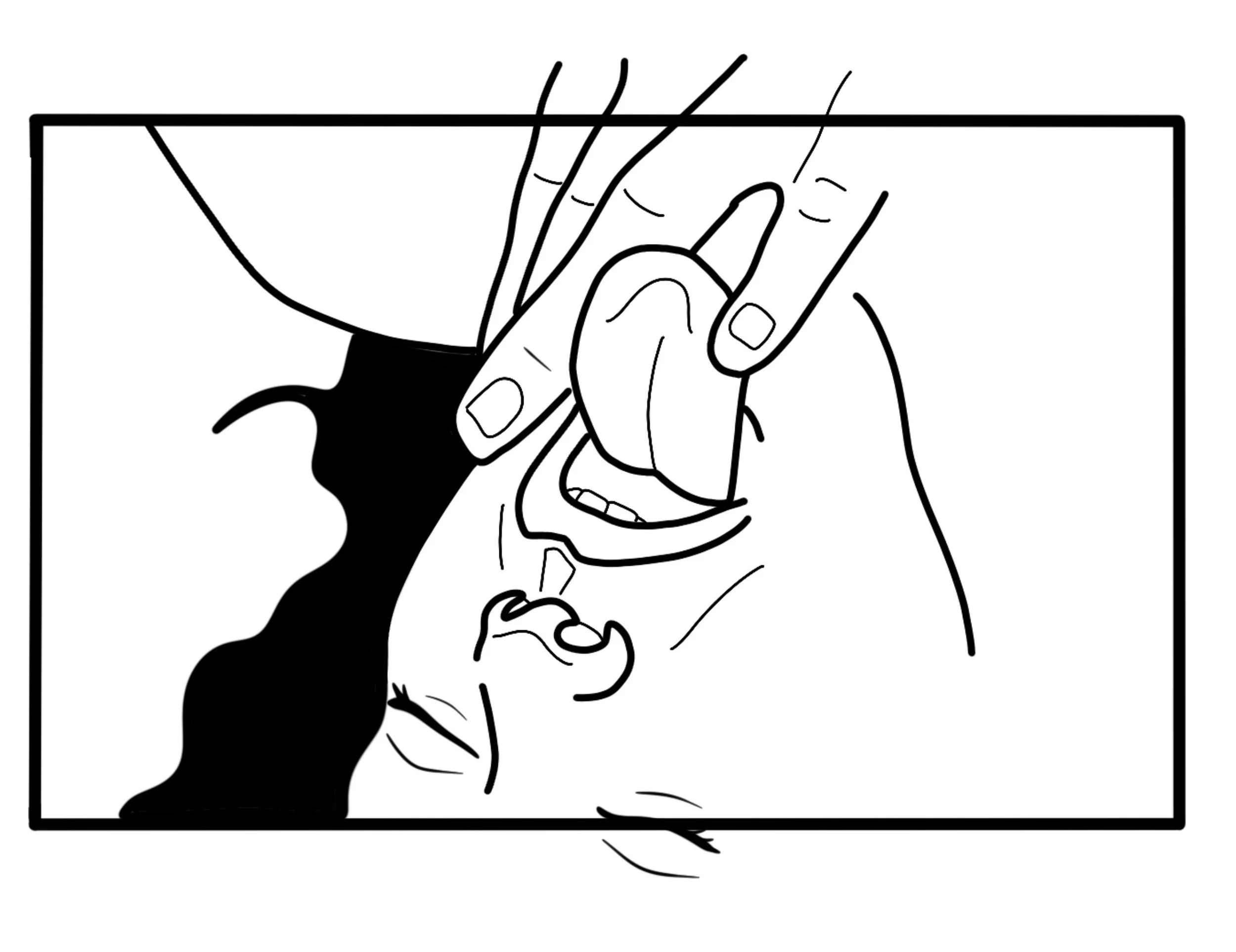 simple comme sylvain