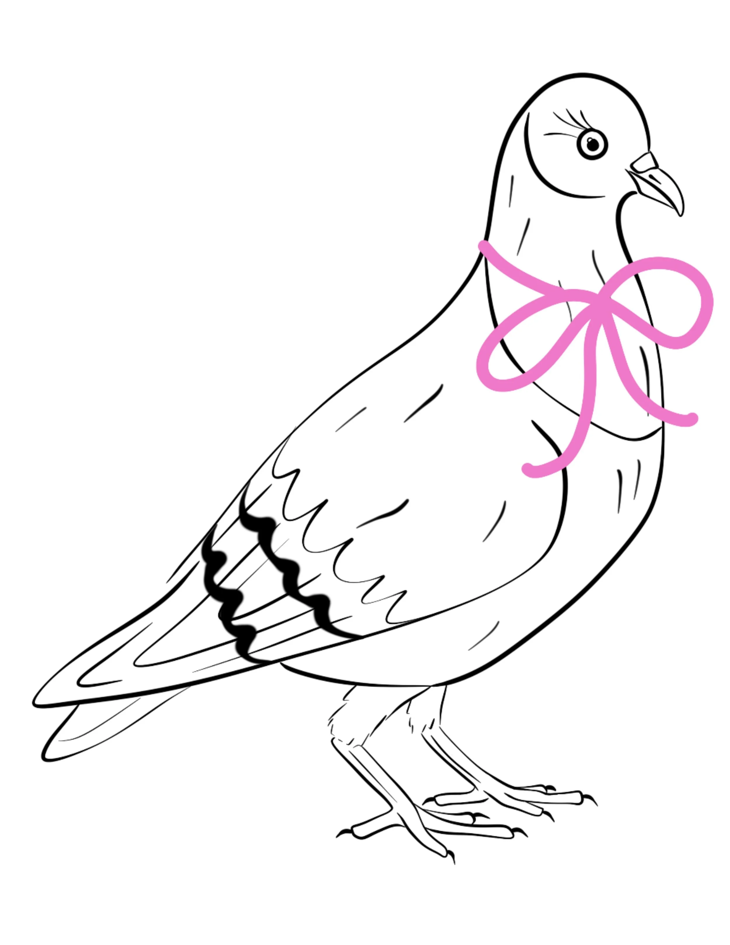 animal_pigeon_boucle.jpg