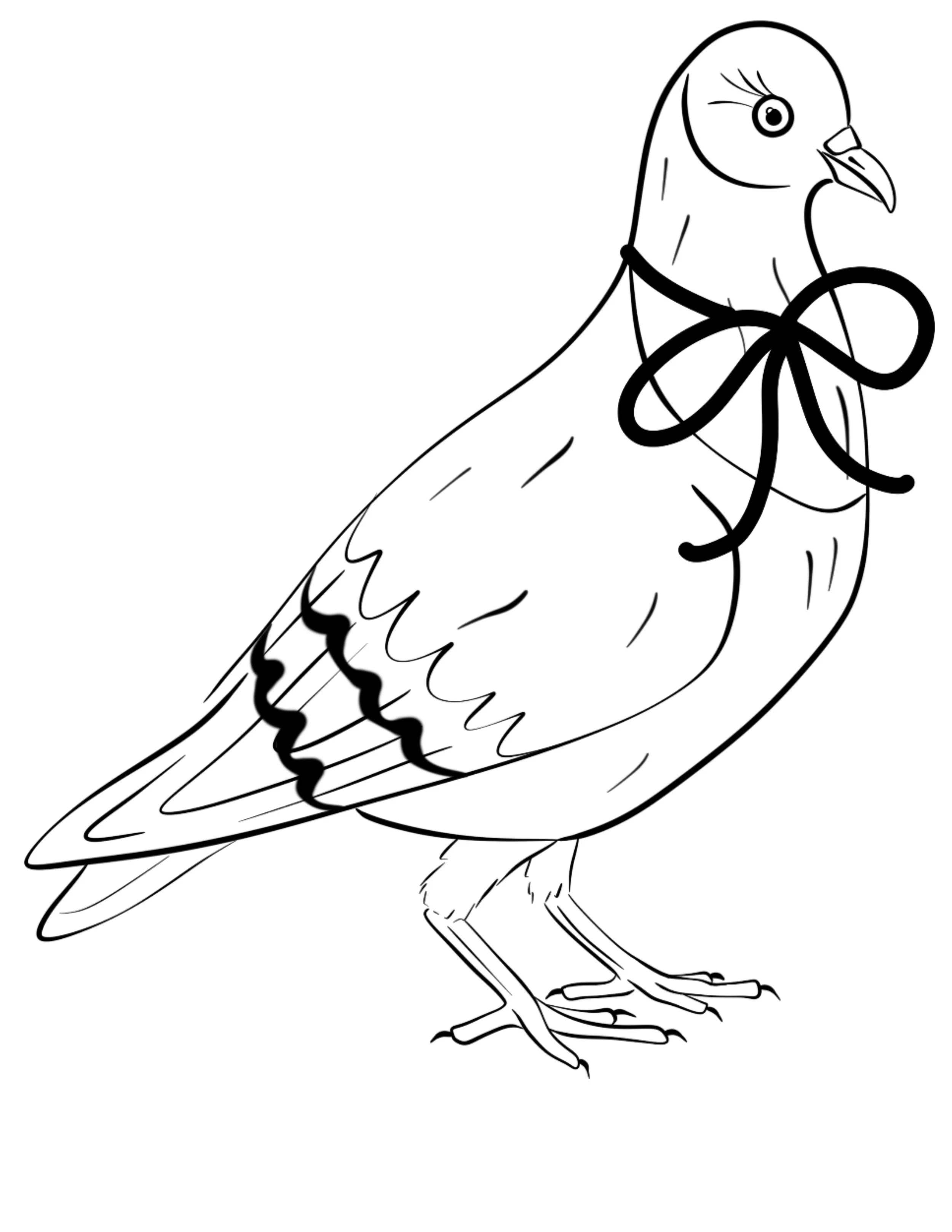 animal_pigeon.jpg