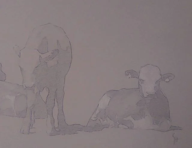 Detail of 'Bergbys Ungtjurar' 
Charcoal and white chalk on toned paper
#lantliv #markim #charcoaldrawing #art #farmer