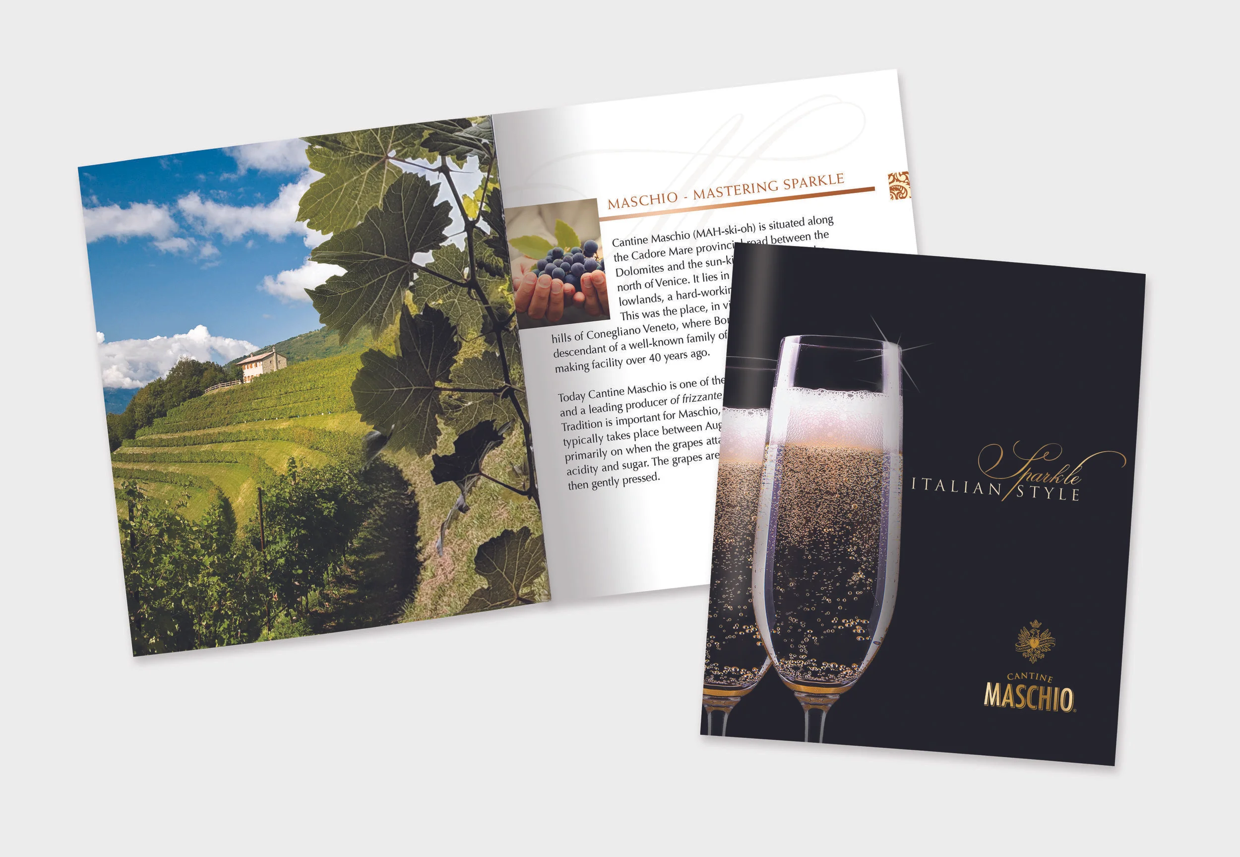 Brochures_Maschio.jpg