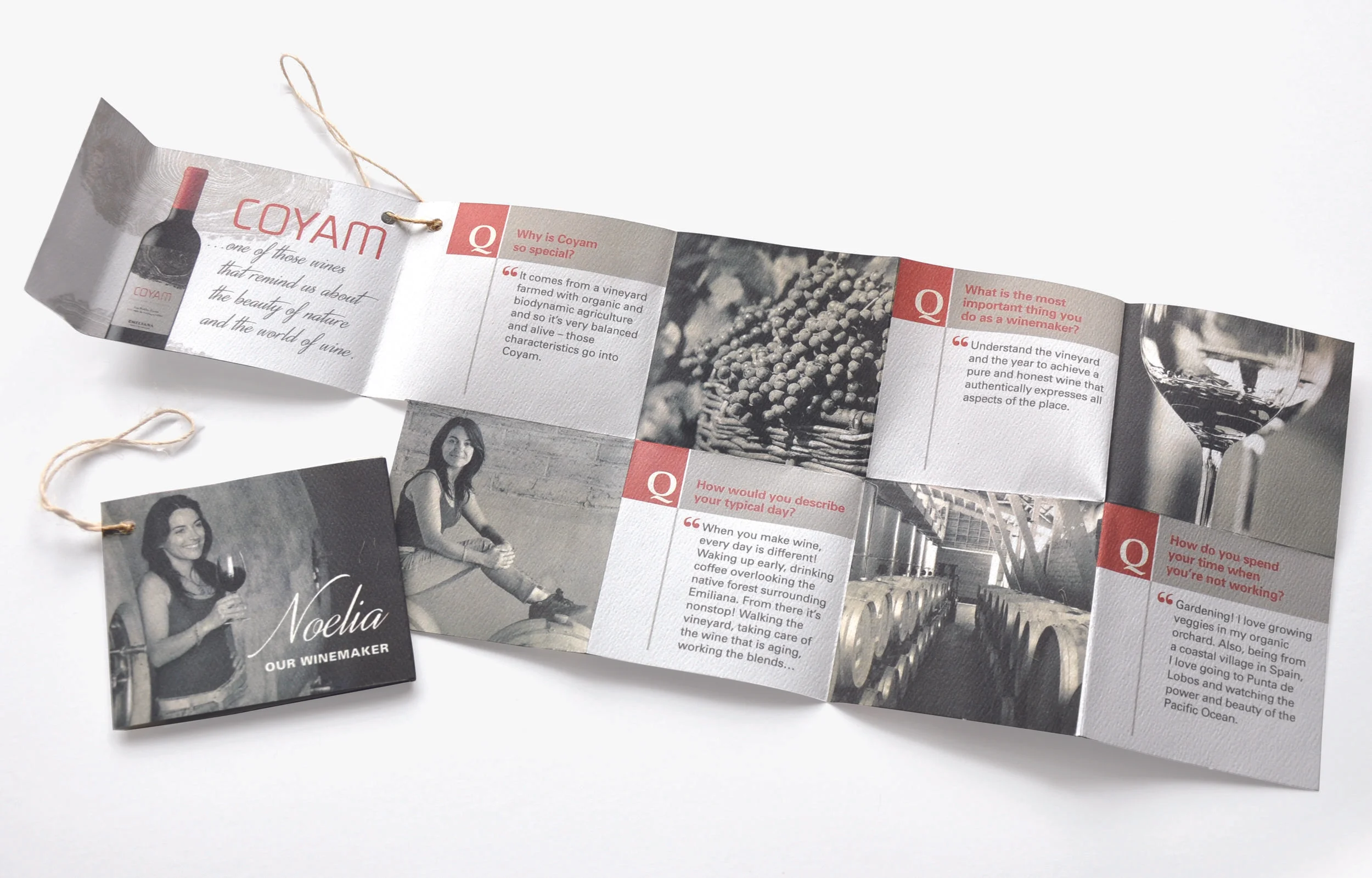 Brochures_Coyam.jpg