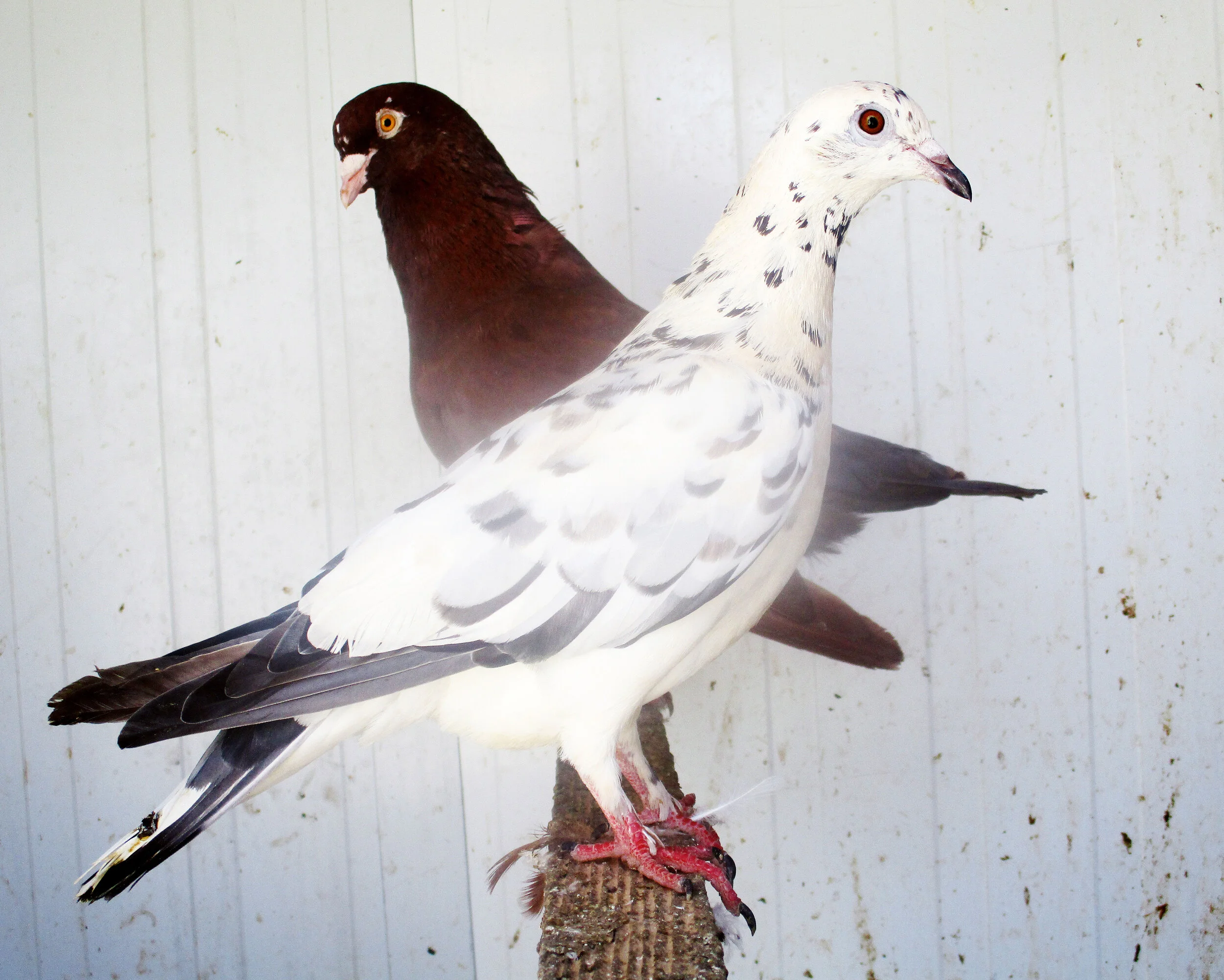 ZAATARI-ABDUL_RAHMAN_AL_HARIRI_IMG_0695.jpg