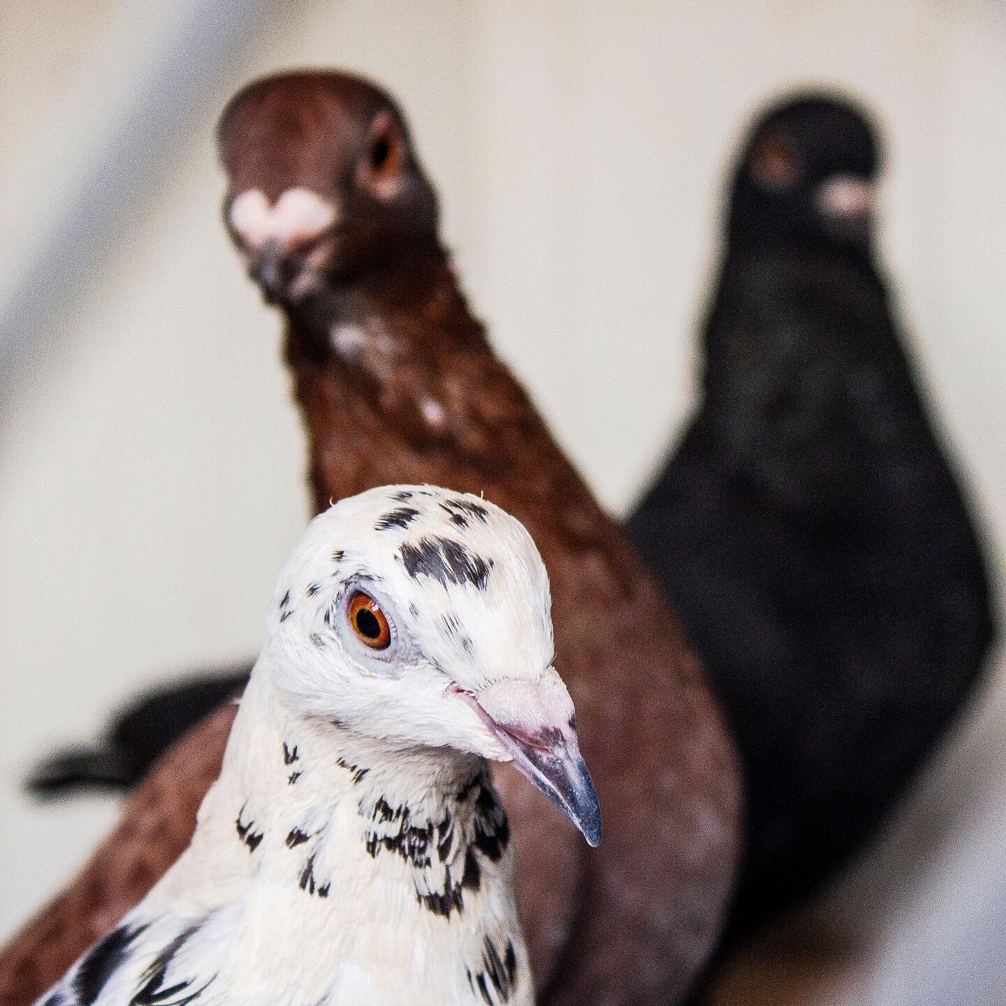 Starting the week off right with a wonderful composition by Abdul Ragman Al Hariri from our #opzaatari program
To read more about our programs click on our bio link. 

📸📷Share your comments below.⬇️⬇️

#photographyclasses #photooftheday #mondaymoti