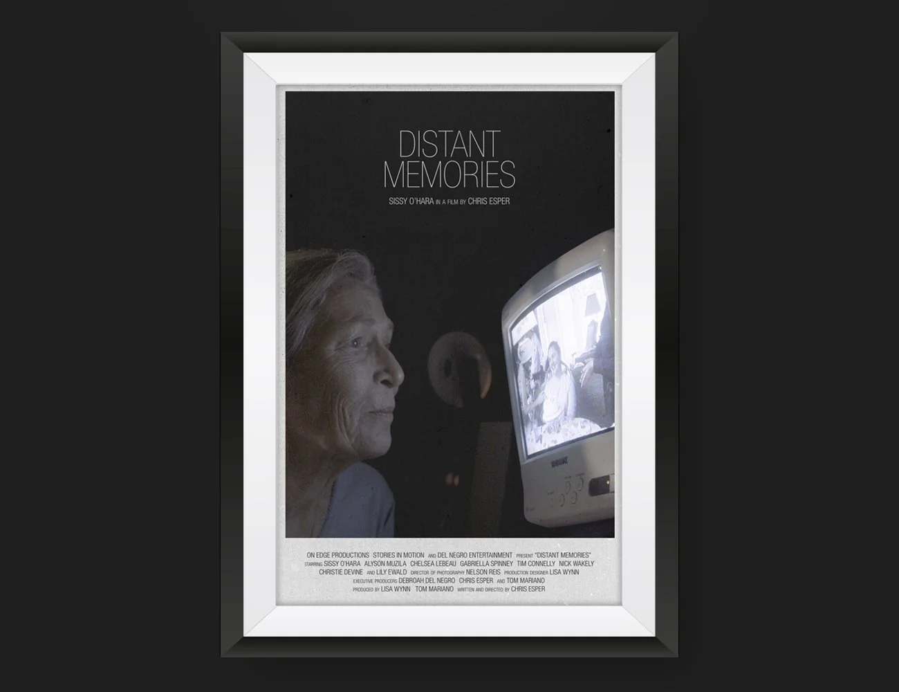 Distant Memories Horizontal.jpg