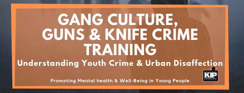 Gang Culture, Guns & Knife Crime Training.png