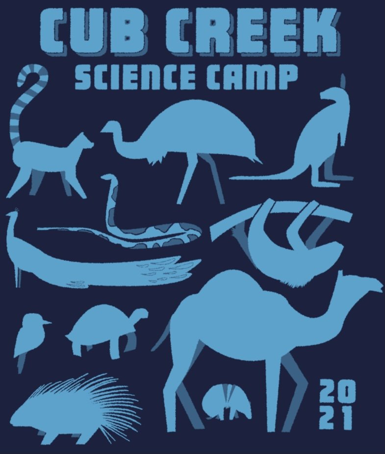 2020 Camp Tshirt