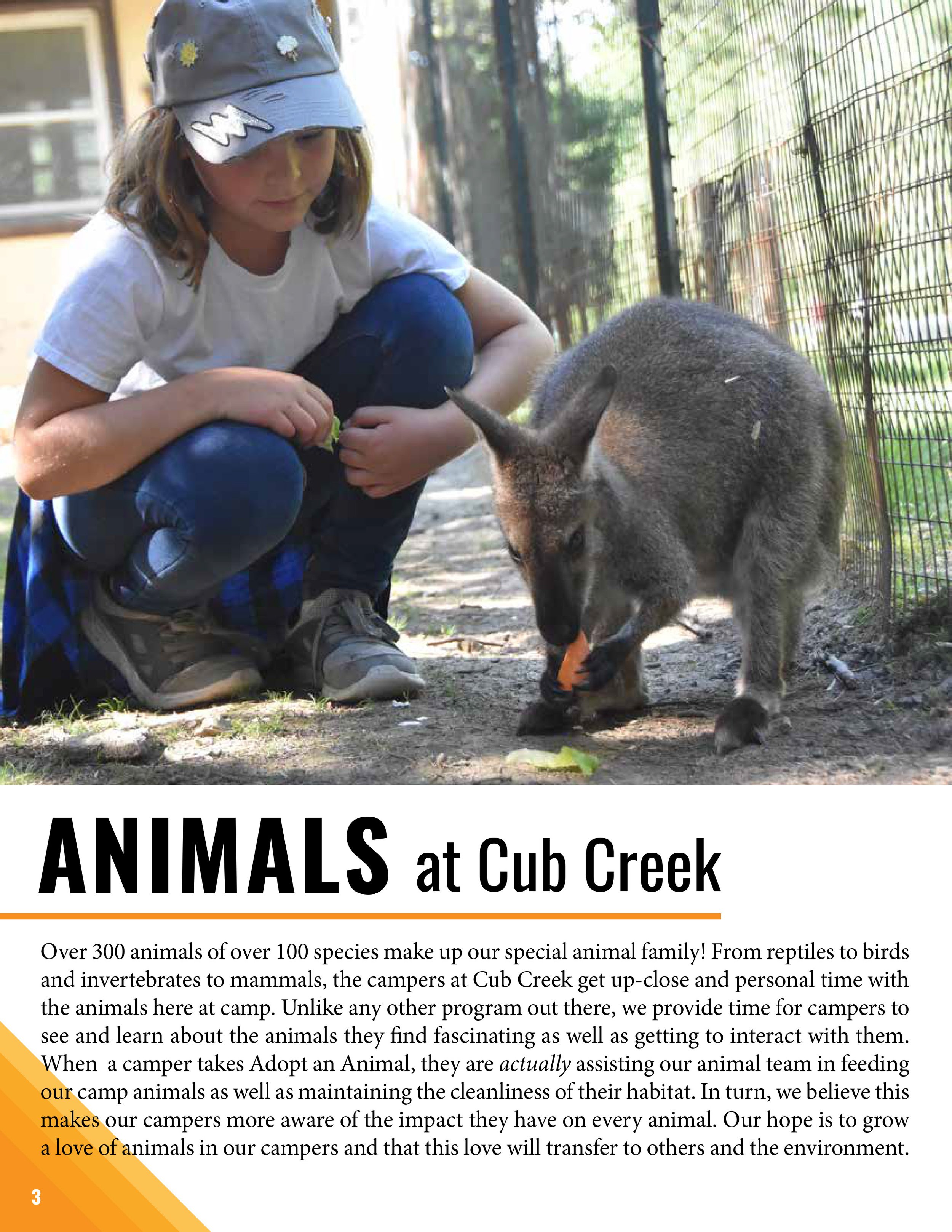 Cub Creek Brochure 2020 Last V for Friends-4.jpg