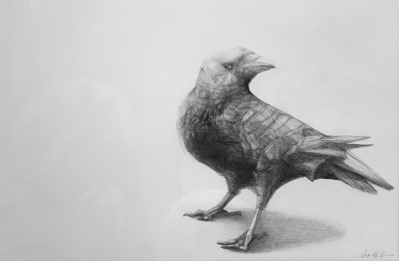 Crow 10