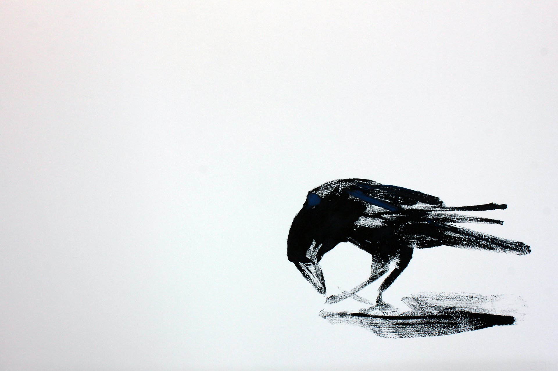 Crow Crow 1