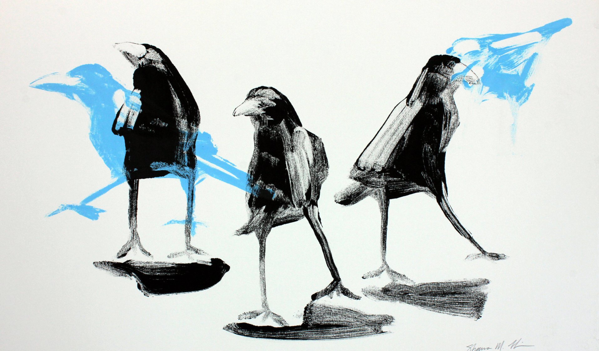Transparent Crows 1