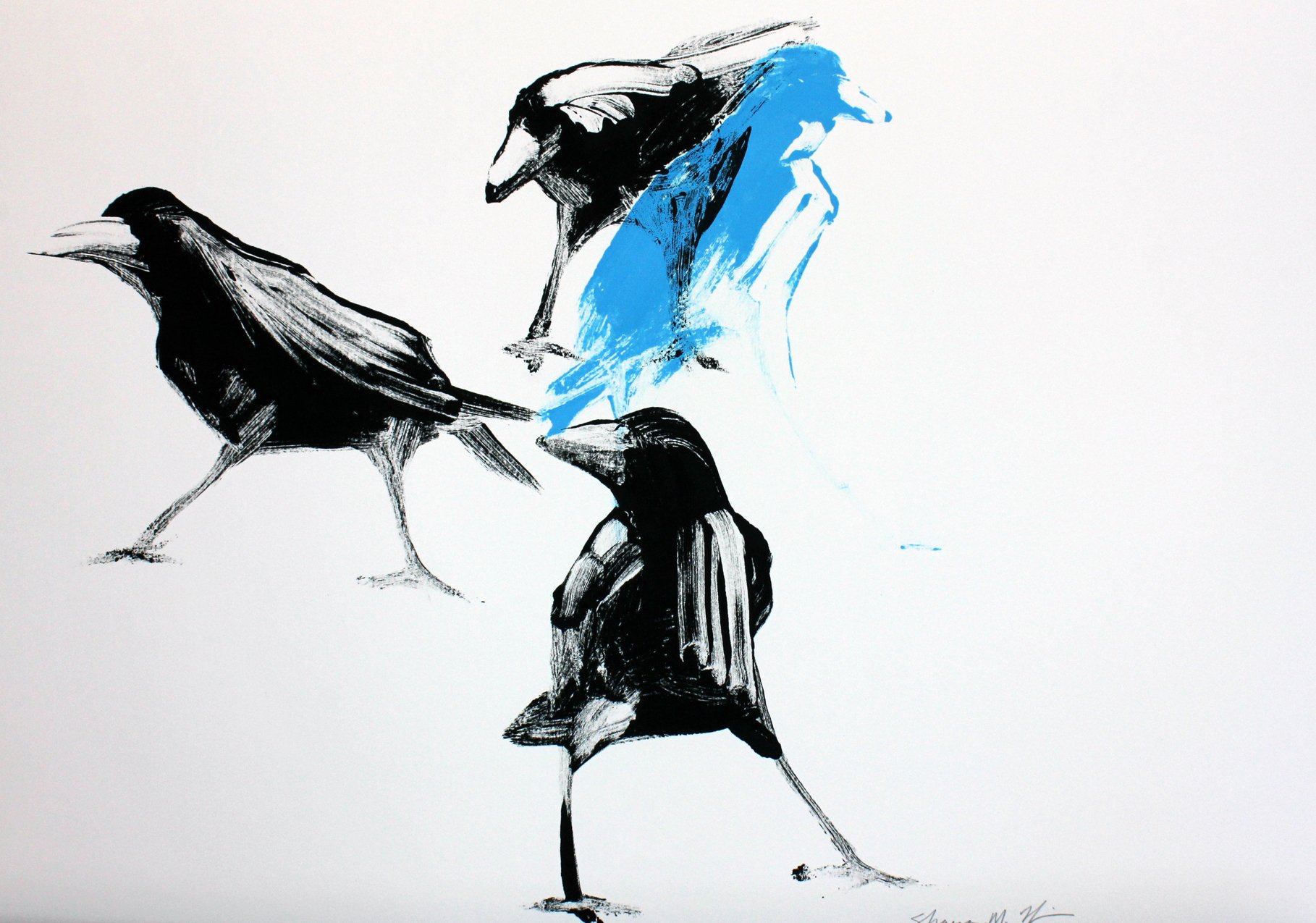 Transparent Crows 2