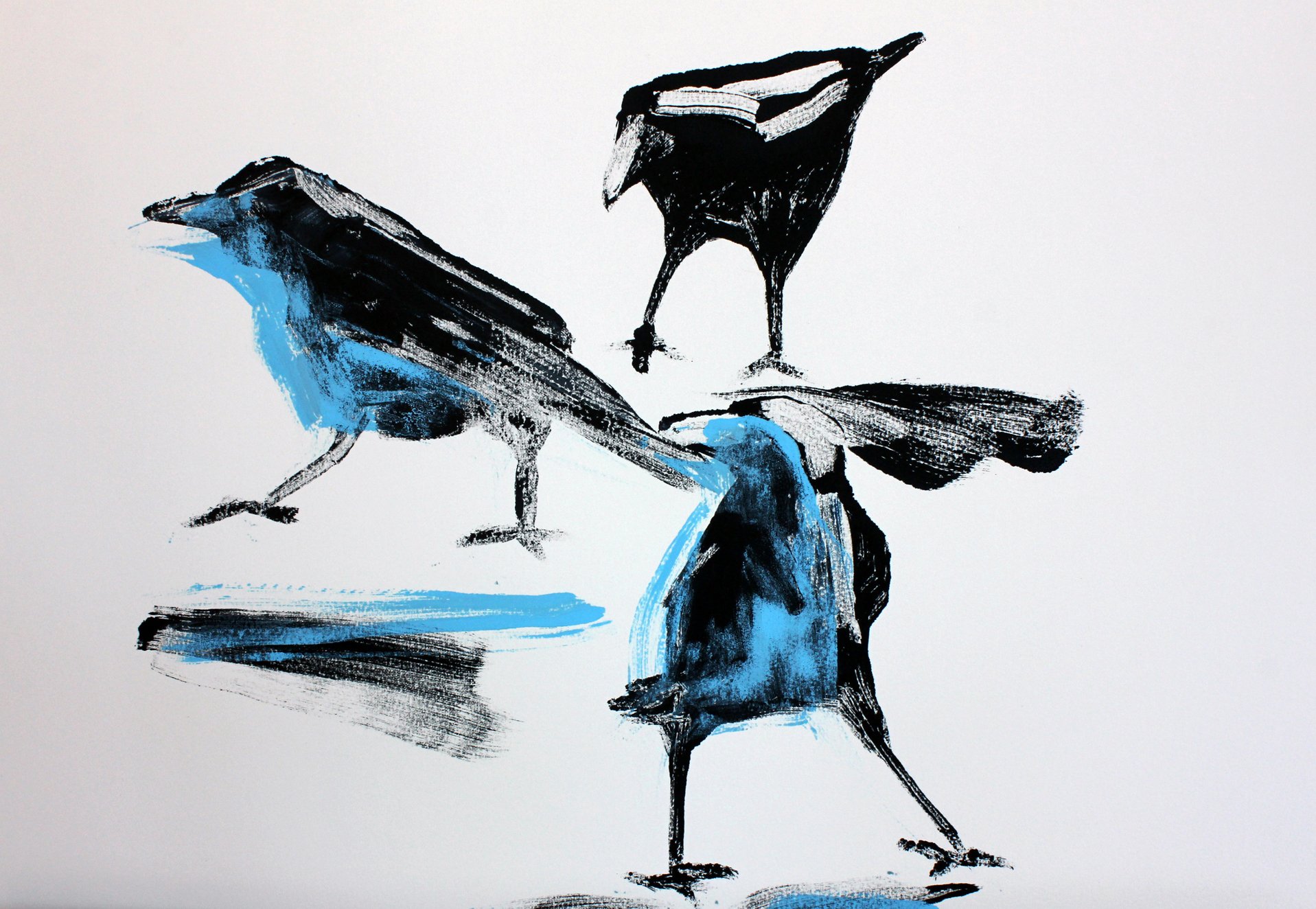 Transparent Crows 3