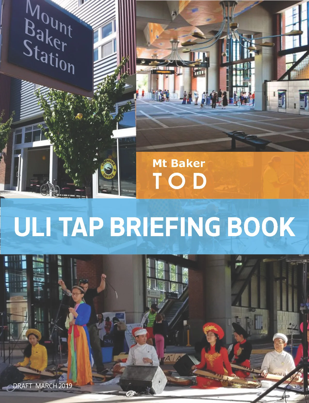 Mt Baker ULI TAP Briefing Book draft 3-4-19 sm 1.jpg