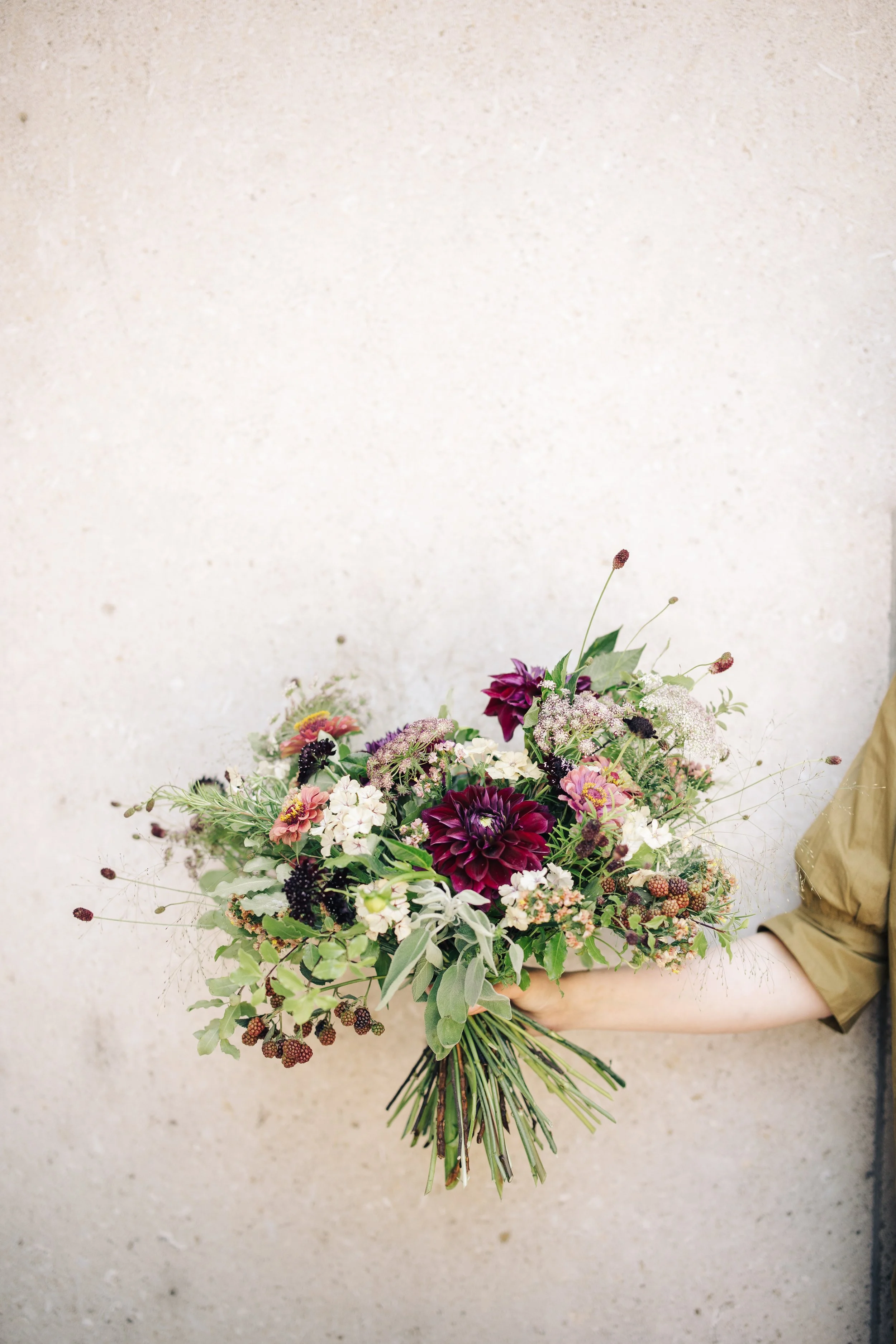 Goldener Herbst mit Fruchtständen und grossen Blüten