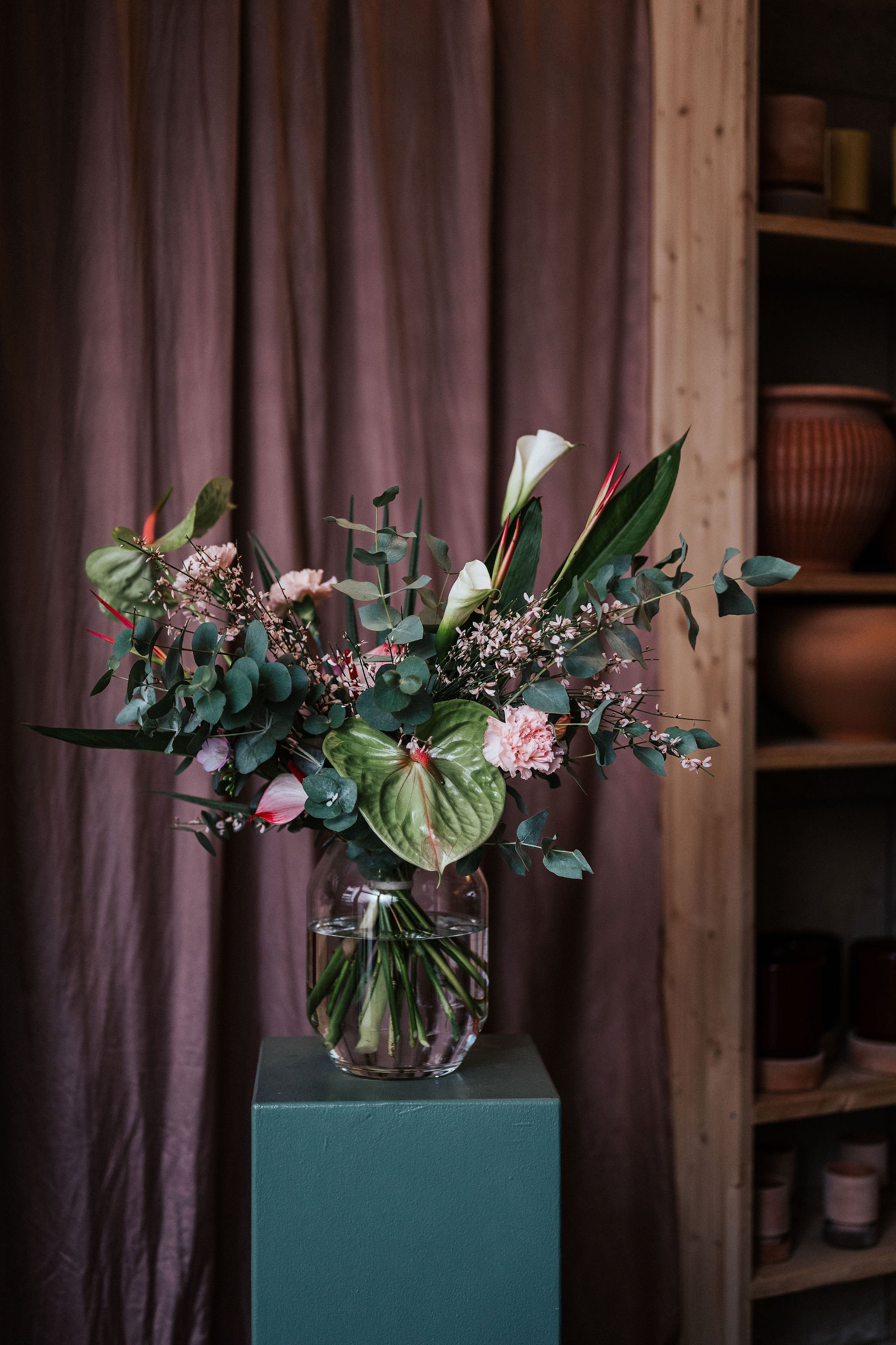 Tropischer Frühling