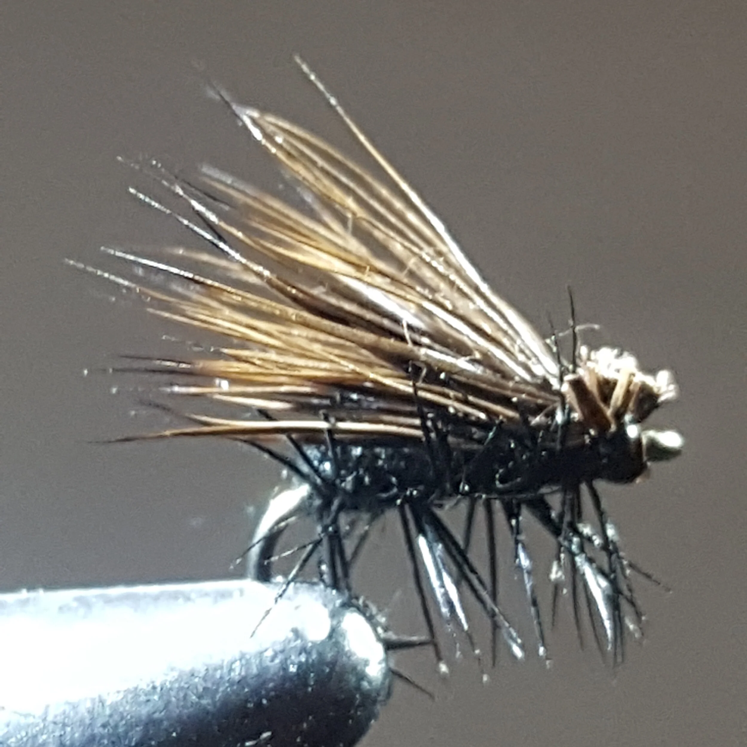 Deer Hair Caddis — Mike Heck's Trout Guides