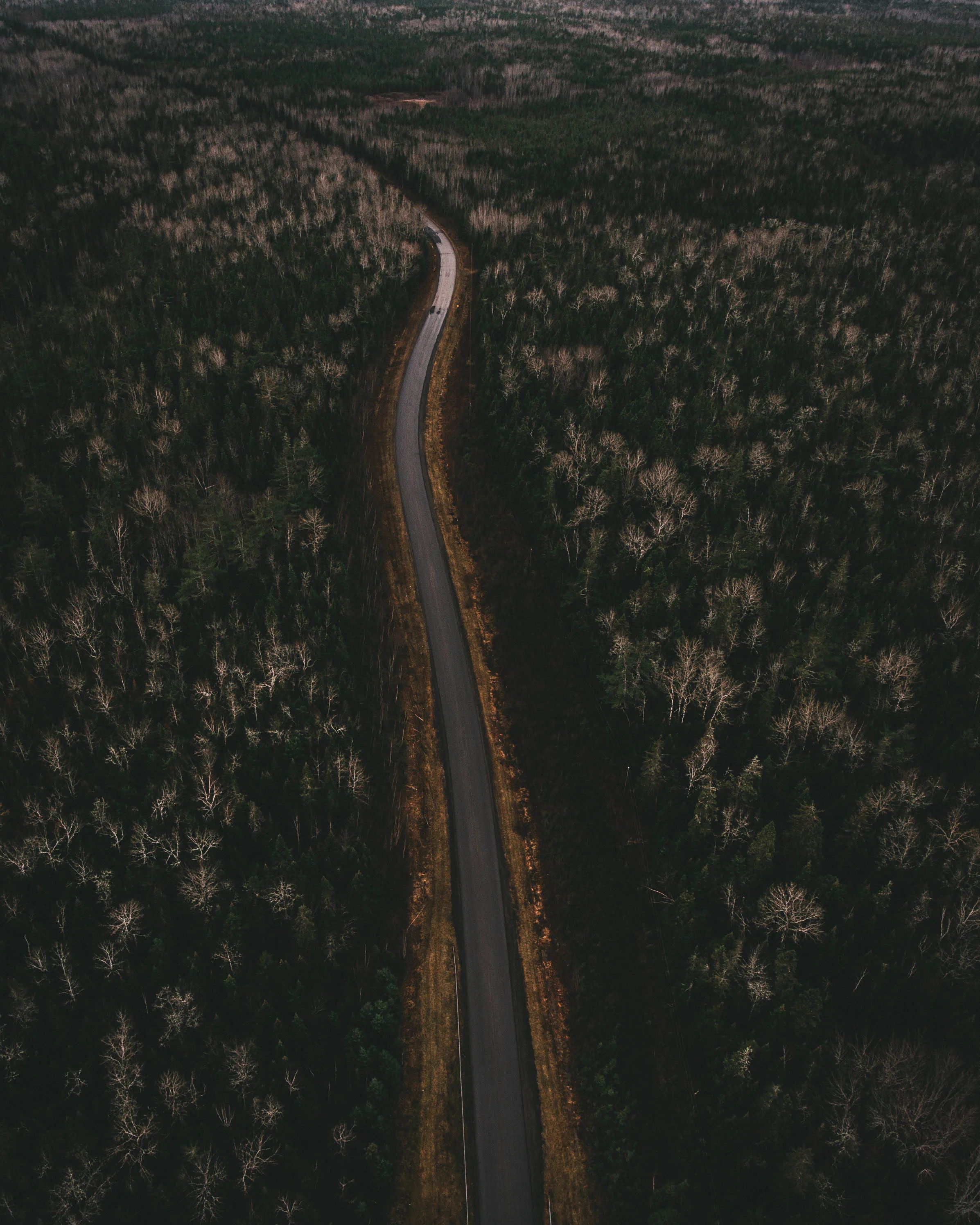 Healing within the context of land and history