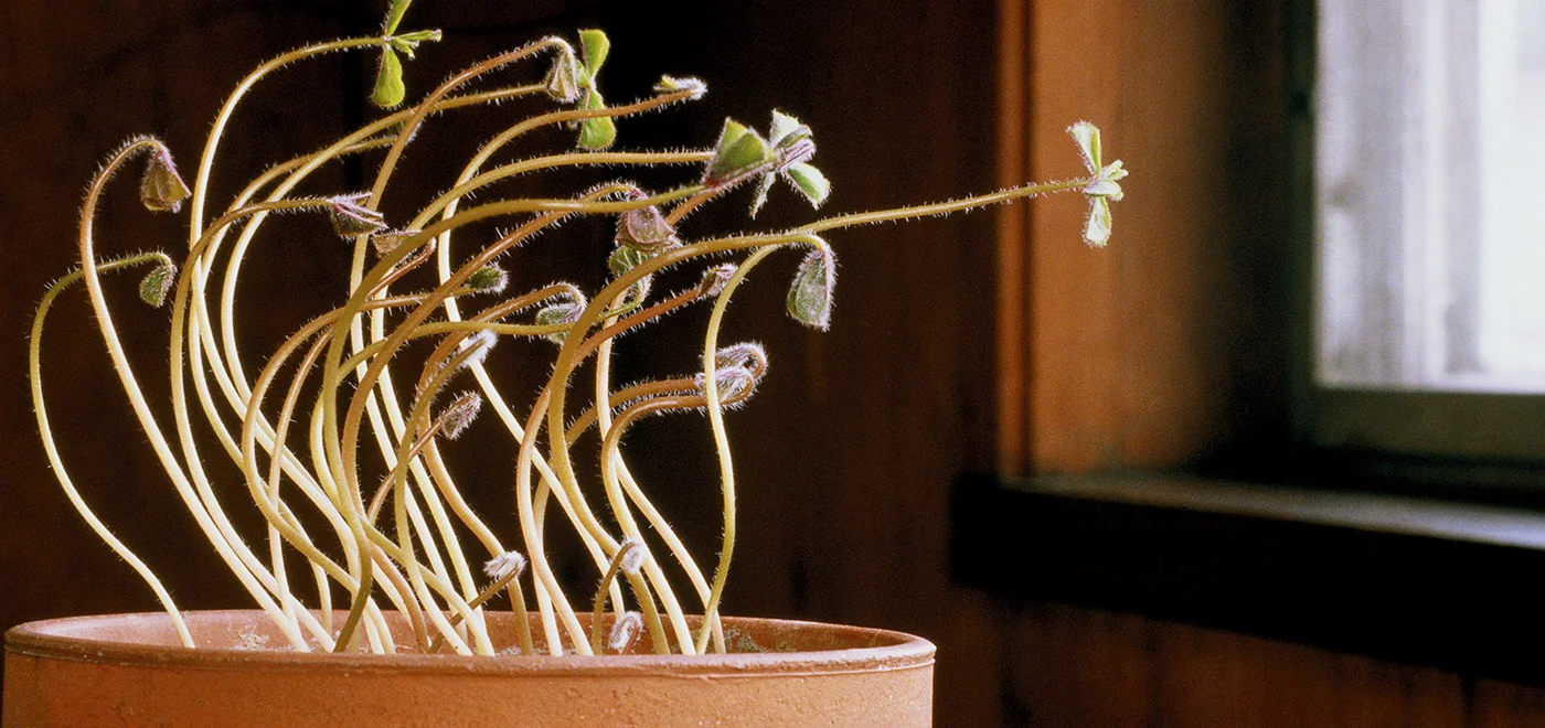 Reclaiming the right to fight, the right to love and everything fierce, you are mine and I am yours, as a survival response 