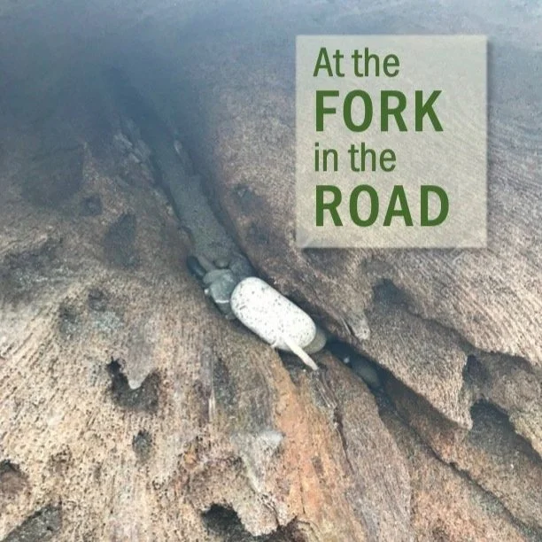 At the Fork in the Road - digital download