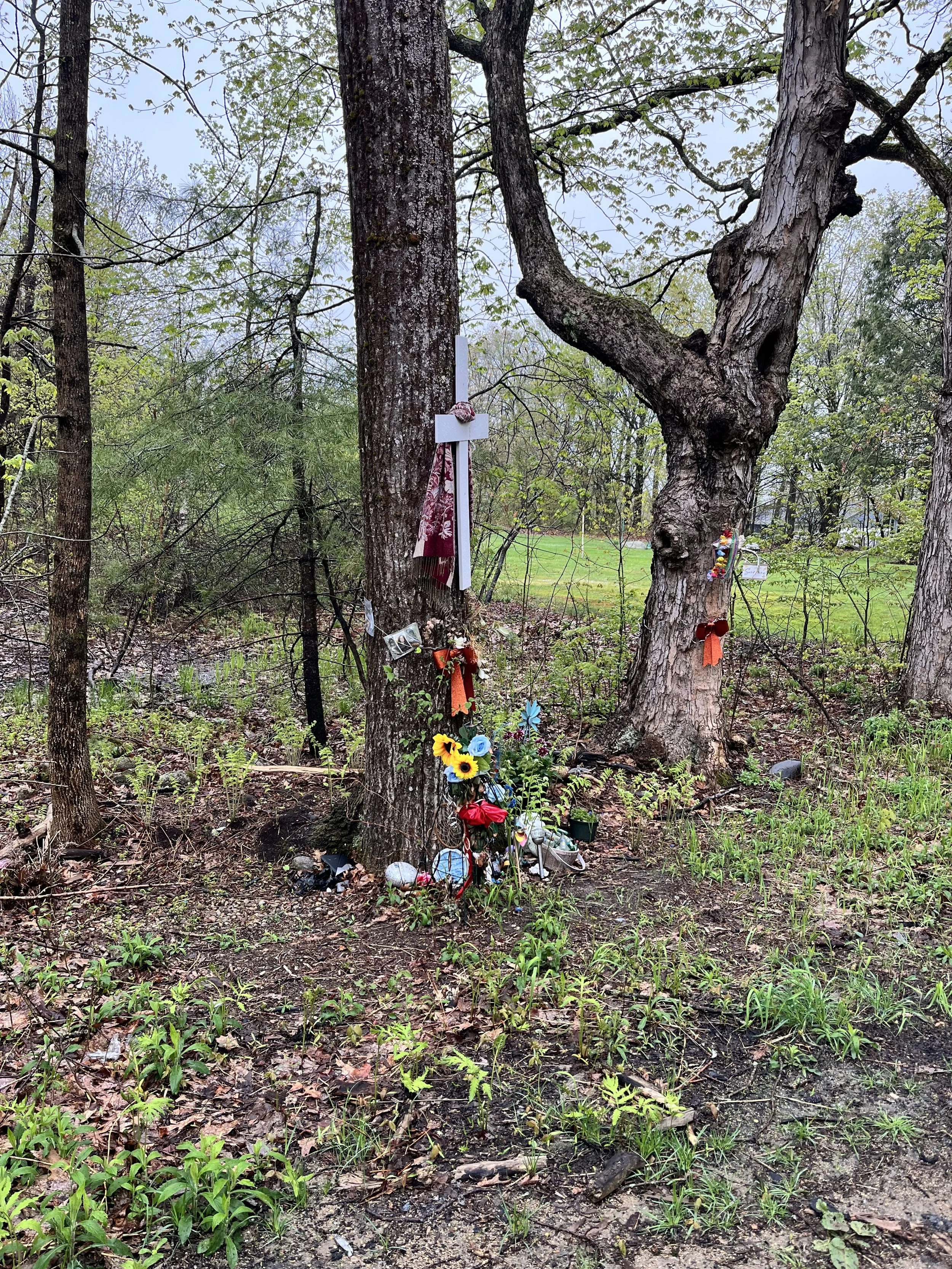 may 13 walk update