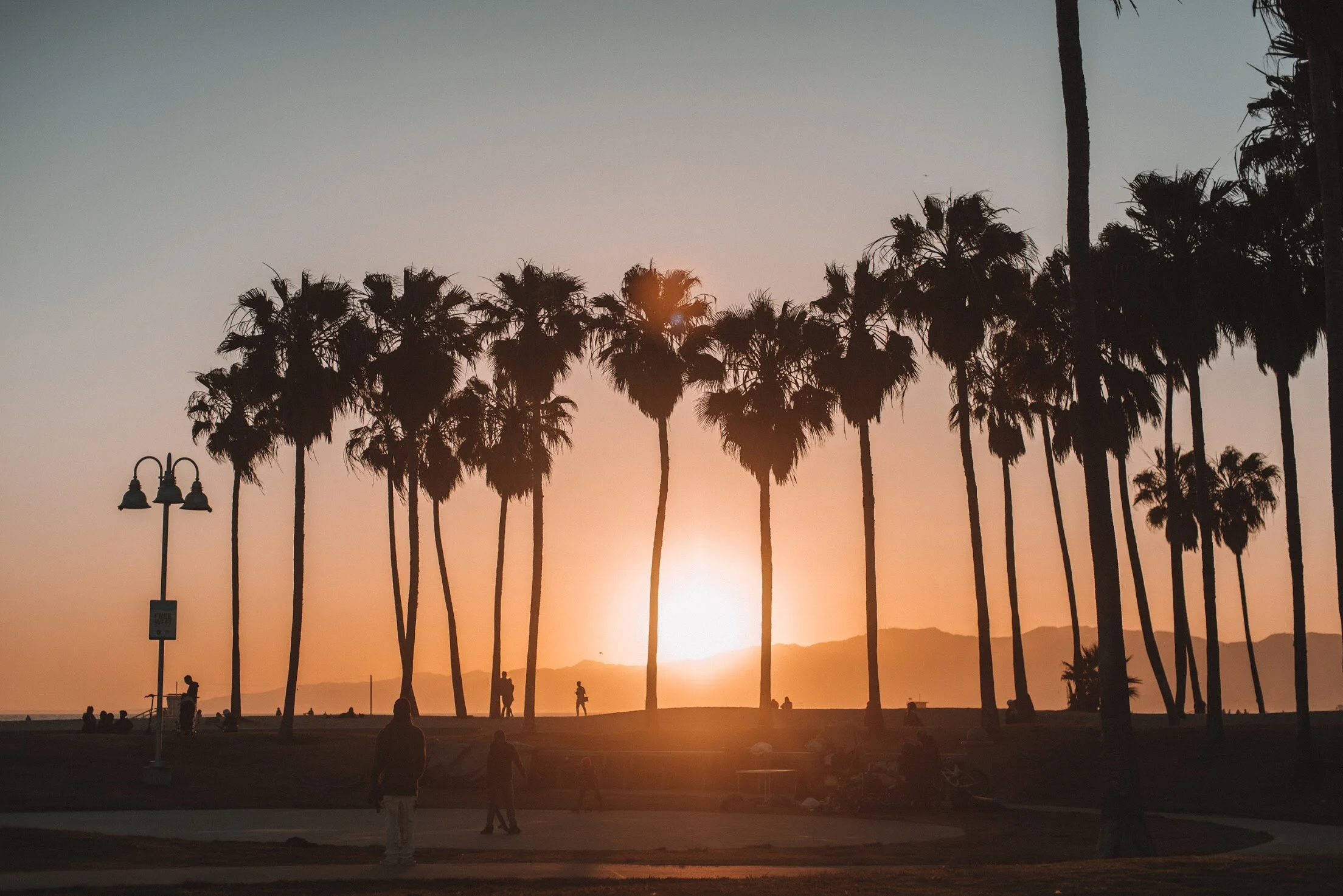 Boardwalk | Venice Beach | California Collection 