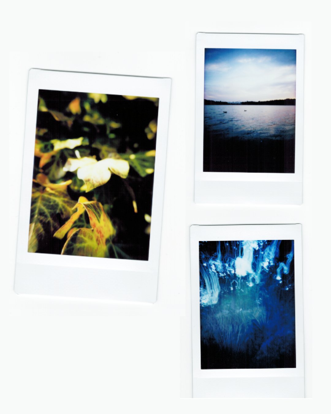 Polaroid_collage3.jpg