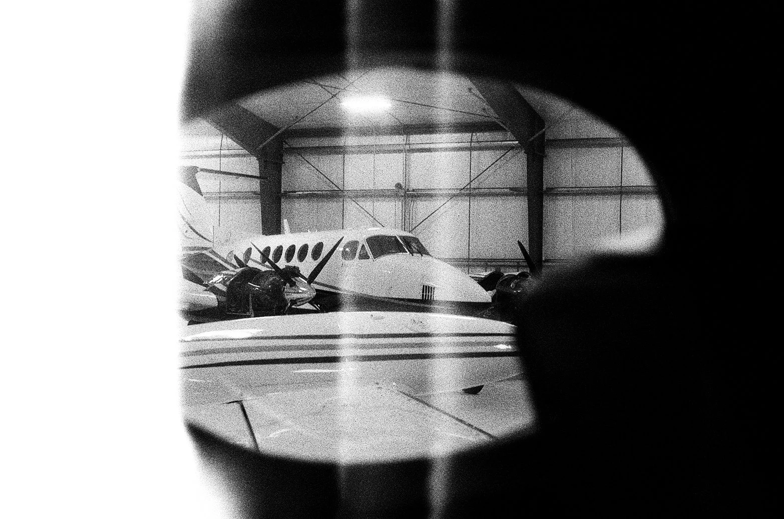 Bird's eye