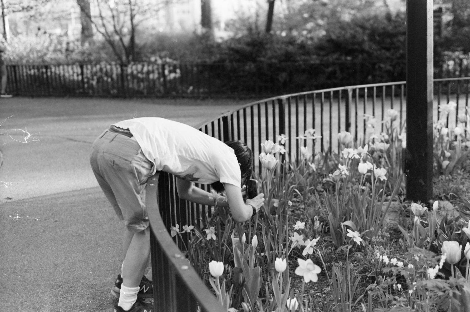 Spring pic