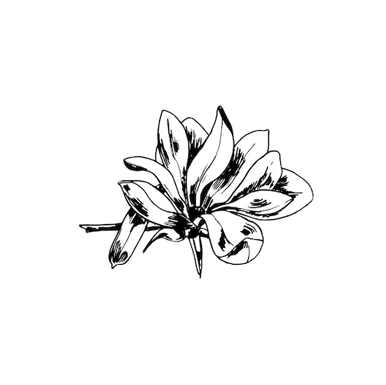 6.png