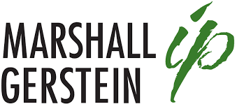 Marshall Gerstein.png