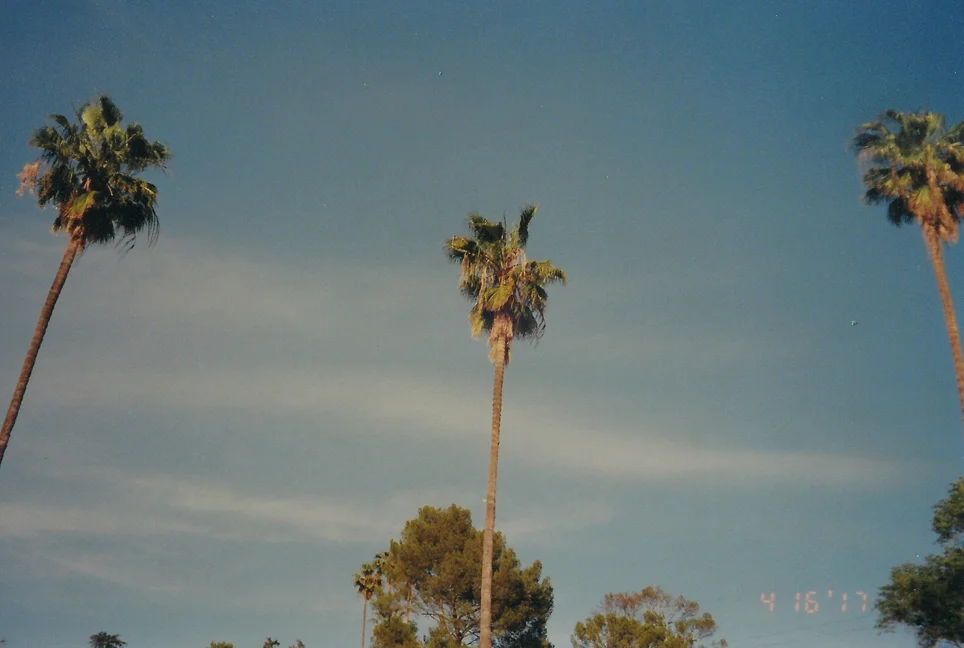 elsewhere_04.jpg